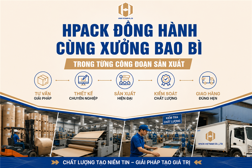 Hpack Việt Nam Chuyên Cung Cấp Máy Bao Bì Carton Chất Lượng