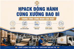 Hpack Việt Nam Chuyên Cung Cấp Máy Bao Bì Carton Chất Lượng