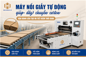 Máy Nối Giấy Tự Động Giải Pháp Giúp Dây Chuyền Carton Vận Hành Liên Tục